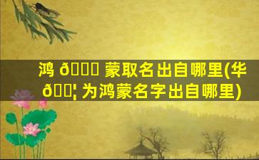 鸿 🍀 蒙取名出自哪里(华 🐦 为鸿蒙名字出自哪里)